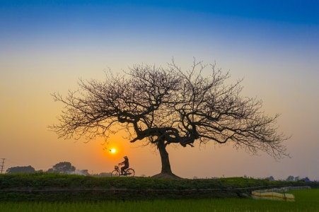 Vietnam Reisen mit dem Fahrrad, Radreisen