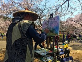 Japan Rundreise im Mai, Kirschblüte Sakura