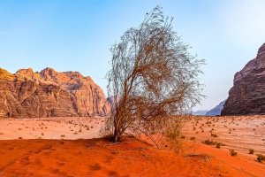 Wüste Wadi Rum, Jordanien Angebote